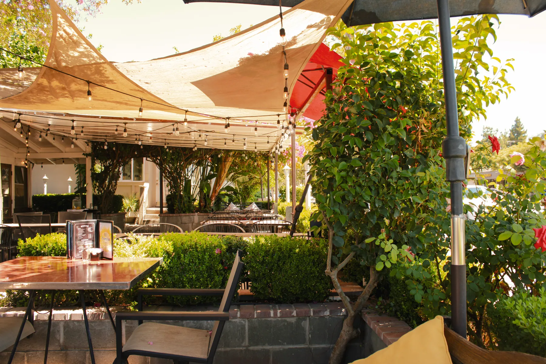 The garden patio with market umbrellas and roses